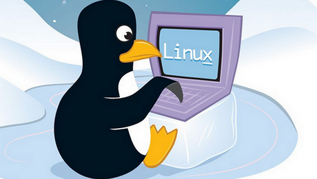5 razões do Linux ser melhor para programadores